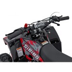 Mamido Detská benzínová štvorkolka RamiGO SIRIUS 49CC červená