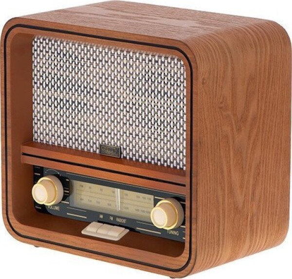 Camry Retro Radio