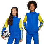 Mikina adidas Squadra 25 Training Jr JP3150 164 cm