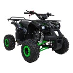 Mamido Detská benzínová štvorkolka RamiGO WILDPEAK 110CC čierno-zelená