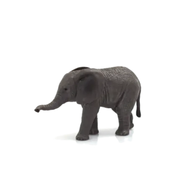 Mojo Slon africký sloník