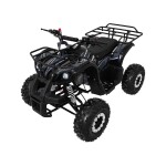 Mamido Detská benzínová štvorkolka RamiGO WILDPEAK 110CC čierna