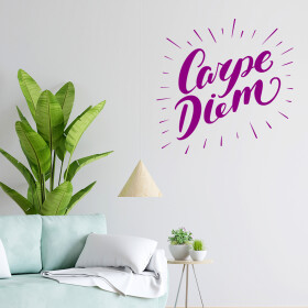 Veselá Stena Samolepka Carpe Diem (Užívaj dňa) Farba: fialová, Veľkosť: 80 x 80 cm