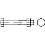 TOOLCRAFT TO-6855705 šesťhranná skrutka M6 16 mm vonkajší šesťhran DIN 601 ocel pozinkované 500 ks; TO-6855705