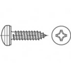 TOOLCRAFT TO-5380629 skrutka do plechu 19 mm krížová dražka Philips 88981 nerezová ocel A2 1000 ks; TO-5380629