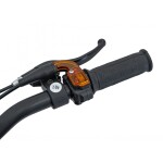 Mamido Detská benzínová motorka RamiGO TIGER 49CC čierna