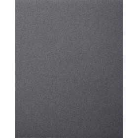 PFERD TOOLS BP-W ECO PAINT 230X280 SiC 100 45015256 brúsny papier Zrnitosť 100 (d x š) 280 mm x 230 mm 50 ks; 45015256