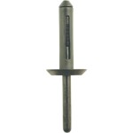 Plastové nity pre Ford, balenie 50 ks KS Tools 420.5275; 420.5275