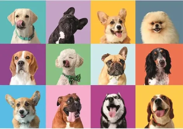 Clementoni 21739 Puzzle Veselé tváre 300 dielikov