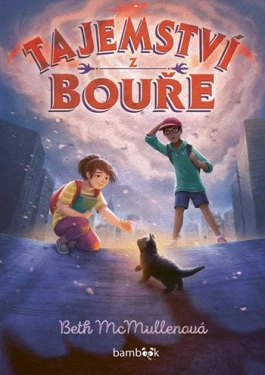 Tajemství z bouře, McMullenová Beth