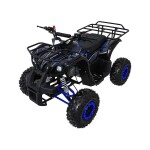 Mamido Detská benzínová štvorkolka RamiGO WILDPEAK 110CC čierno-modrá