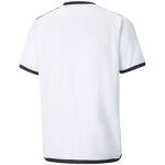 Puma teamLIGA Jersey Jr 704925 04