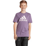 Adidas Essentials Big Logo Cotton Tee Jr IJ7061 tričko