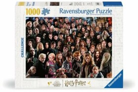 Ravensburger Challenge Puzzle: Harry Potter