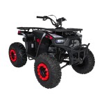 Mamido Detská benzínová štvorkolka RamiGO MONSTER 200CC čierno-červená