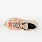 Tenisky Salomon XT-Whisper Shobre/ Redora/ Ftw Silver EUR 45 1/3