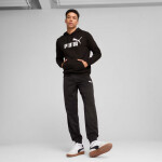 Pánska mikina Puma ESS No.1 Logo Hoodie FL M 682570 01 S