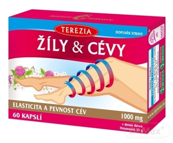 TEREZIA ŽILY & CIEVY