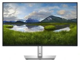 23.8" DELL P2425H čierna / Monitor / IPS / FHD / 100Hz / HDMI+DP (DELL-P2425H)