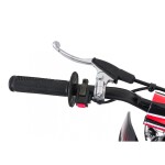 Mamido Detská benzínová motorka RamiGO ULTRA 66 125CC červená
