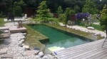 Fatra Aquaplast 805 PVC - Jazierková fólia 2 m šírka, 1,5 mm hrúbka, 20 m kotúč - olivovo zelená (RAL6006)