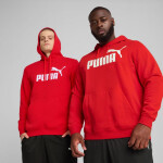 Pánska mikina Puma ESS No.1 Logo Hoodie FL M 682570 11 L
