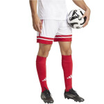 Šortky adidas Squadra 25 M JH3404 M