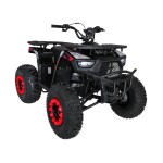 Mamido Detská benzínová štvorkolka RamiGO MONSTER 200CC čierno-červená