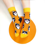 Banana Socks Ponožky Classic Husky 42-46