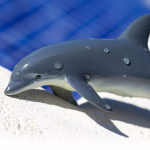 Safari Ltd. Safari Ltd. Delfín skákavý