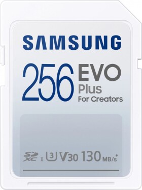 Samsung EVO Plus SDXC Class 10 (MB-SC256K/EU)