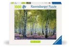 Ravensburger Brezový les