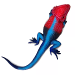 Safari Ltd. Safari Ltd. Figúrka - Agama plochohlavá - Mwanza