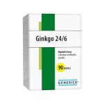 GENERICA Ginkgo 24/6 90 kapsúl