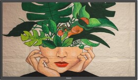 Philips D-Line 43BDL4511D/00