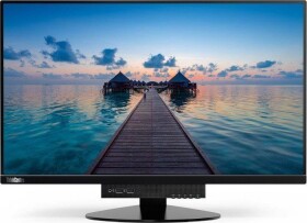 Lenovo Tiny-in-One 4 (11GDPAT1EU)