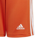 Squadra 21 šortky Adidas