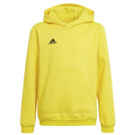 Entrada 22 Hoody Jr Adidas cm