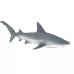 Safari Ltd. Safari Ltd. Žralok spanilý