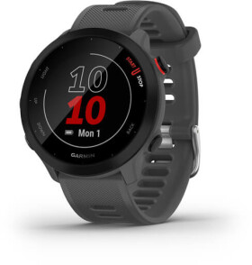 Garmin Forerunner 55 Sivý (010-02562-13)