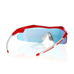 Slnečné okuliare Goggle E690-3 UNI