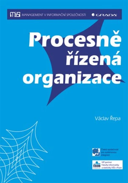 Procesně řízená organizace, Řepa Václav