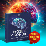 Mozek v kondici