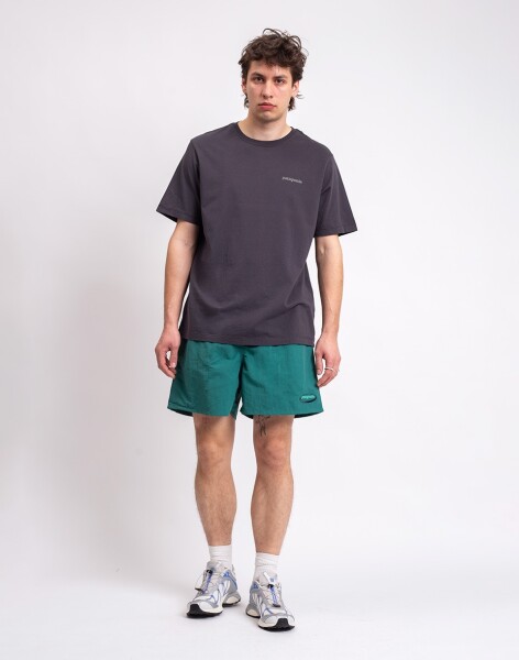 Patagonia M's Baggies Shorts - 5" '95 Oval Logo: Gem Green L