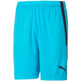 Šortky Puma teamLIGA M 704924 40 XL