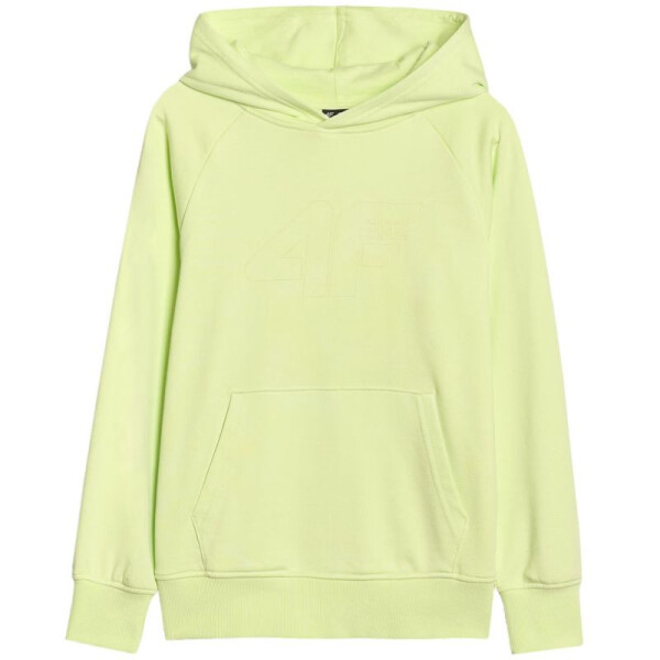 4F M1712 Jr Mikina 4FJWSS25TSWSM1712 45N 164 cm
