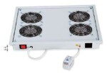 Triton Ventilačná jednotka spodná (horná) / 220V/30W / 2xventilátory + Termostat / čierna (RAB-CH-X03-X3)