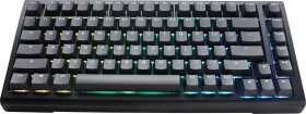 Ducky Tinker 75 Gaming Keyboard, RGB, black - MX-Speed Silver (ANSI)