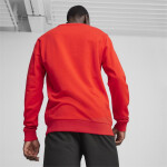 Pánska mikina Puma Team Goal Casuals Crew Neck 658592 01