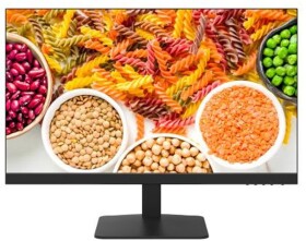 Hikvision DS-D5024F2-1P2 Monitor Hikvision